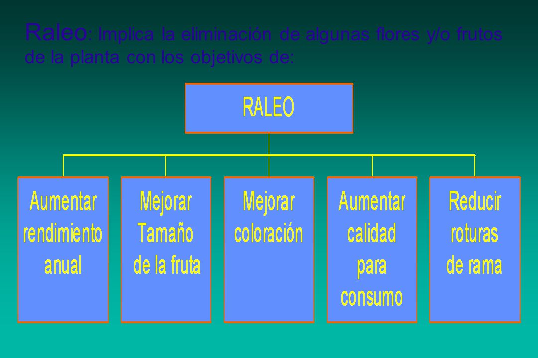 Raleo: Implica la eliminación de algunas flores y/o frutos de la planta con los objetivos de: