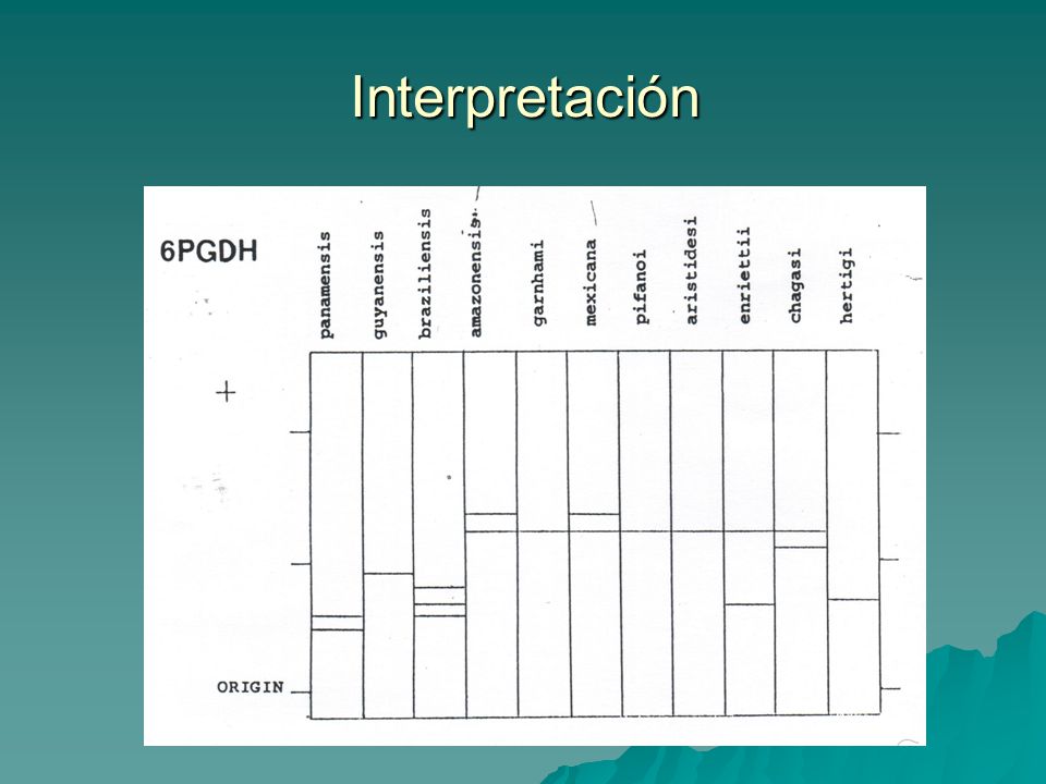 Interpretación