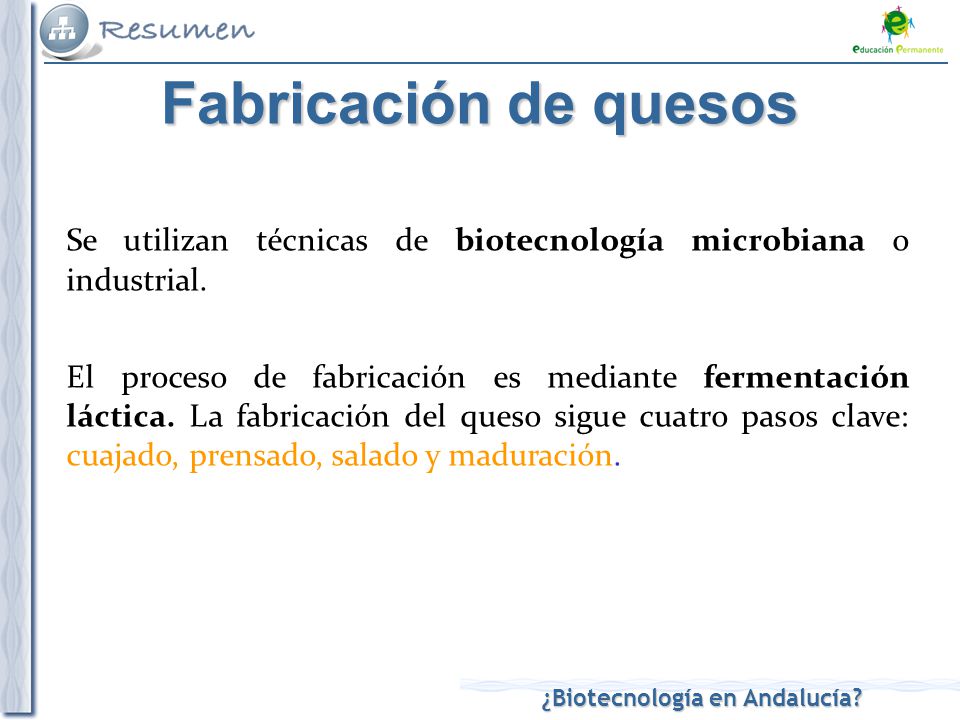 Fabricación de quesos Se utilizan técnicas de biotecnología microbiana o industrial.