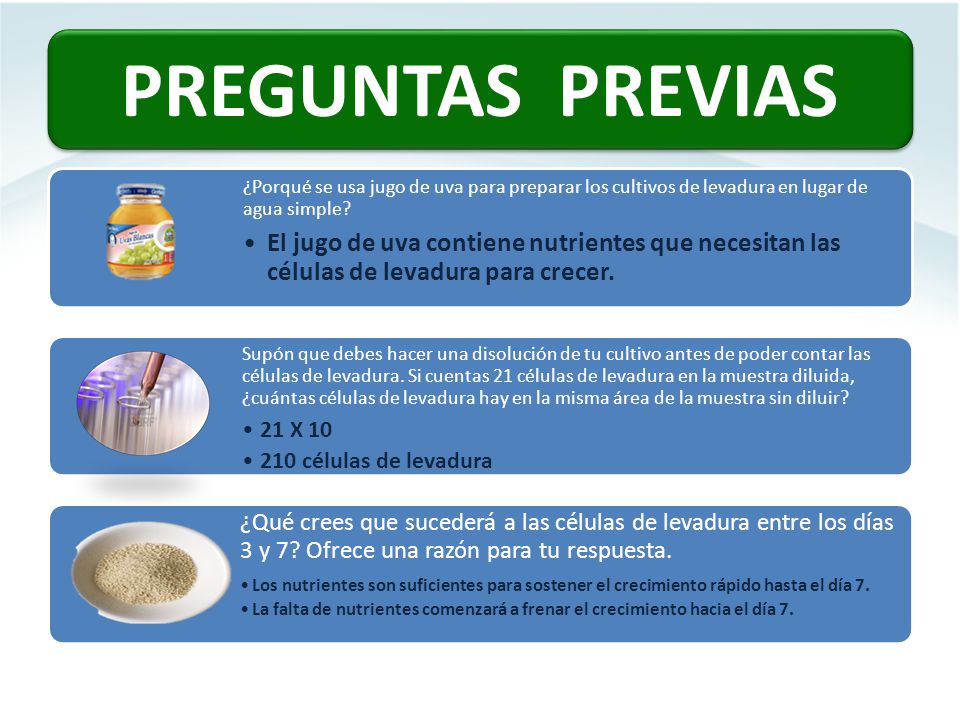 PREGUNTAS PREVIAS ¿Porqué se usa jugo de uva para preparar los cultivos de levadura en lugar de agua simple