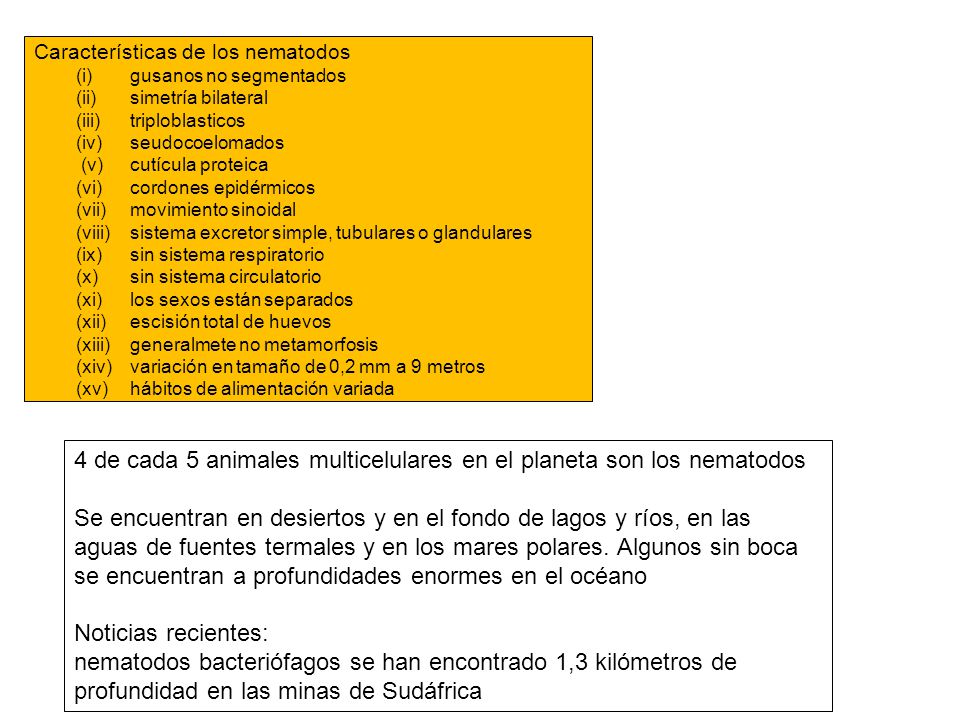 4 de cada 5 animales multicelulares en el planeta son los nematodos