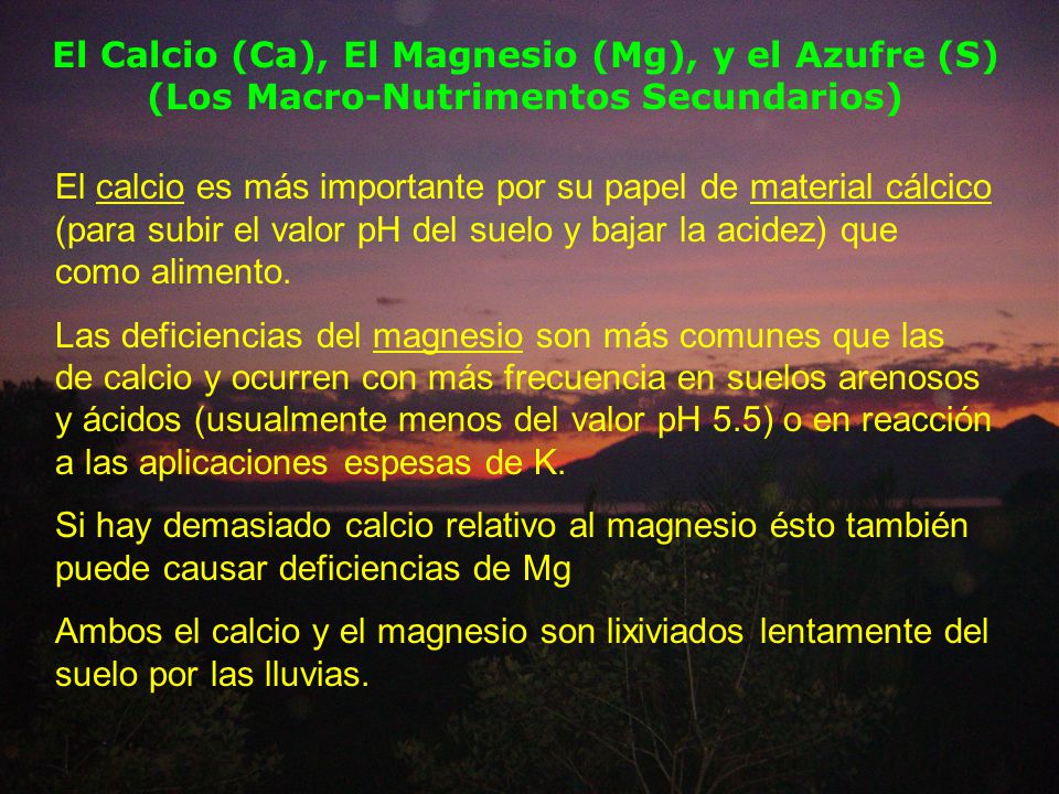 El Calcio (Ca), El Magnesio (Mg), y el Azufre (S)