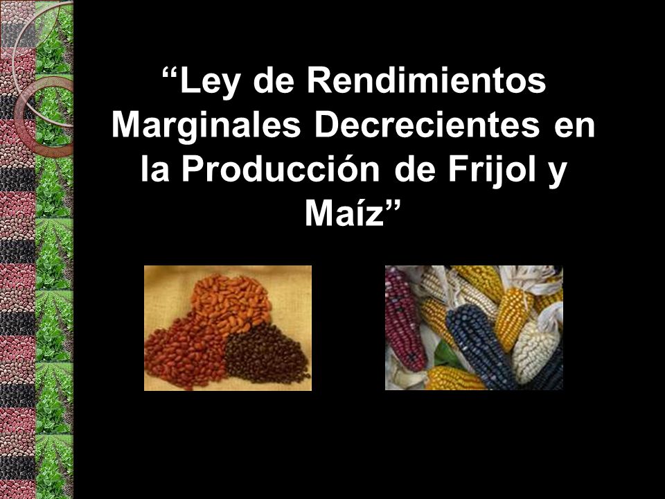 Ley de Rendimientos Marginales Decrecientes en la Producción de Frijol y Maíz