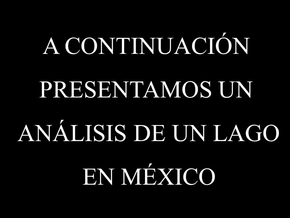 A CONTINUACIÓN PRESENTAMOS UN ANÁLISIS DE UN LAGO EN MÉXICO