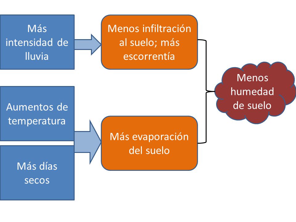 Más intensidad de lluvia Menos infiltración al suelo; más escorrentía