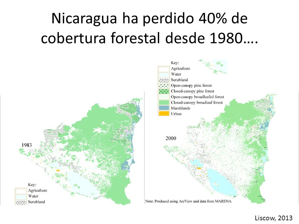 Nicaragua ha perdido 40% de cobertura forestal desde 1980….