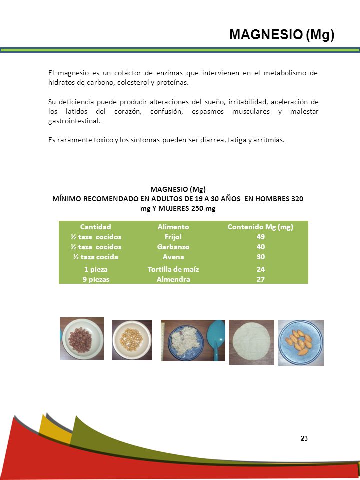 MAGNESIO (Mg) El magnesio es un cofactor de enzimas que intervienen en el metabolismo de hidratos de carbono, colesterol y proteínas.