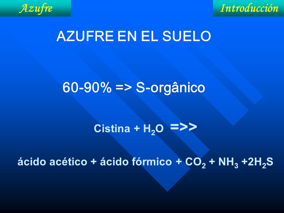 ácido acético + ácido fórmico + CO2 + NH3 +2H2S