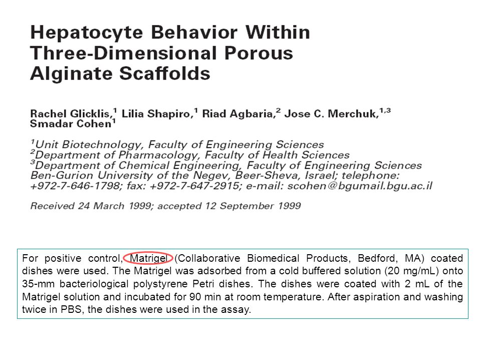 For positive control, Matrigel (Collaborative Biomedical Products, Bedford, MA) coated dishes were used.