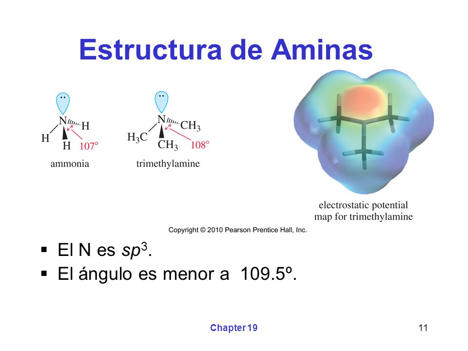 Estructura de Aminas El N es sp3. El ángulo es menor a 109.5º.