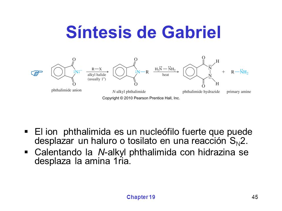 Síntesis de Gabriel El ion phthalimida es un nucleófilo fuerte que puede desplazar un haluro o tosilato en una reacción SN2.