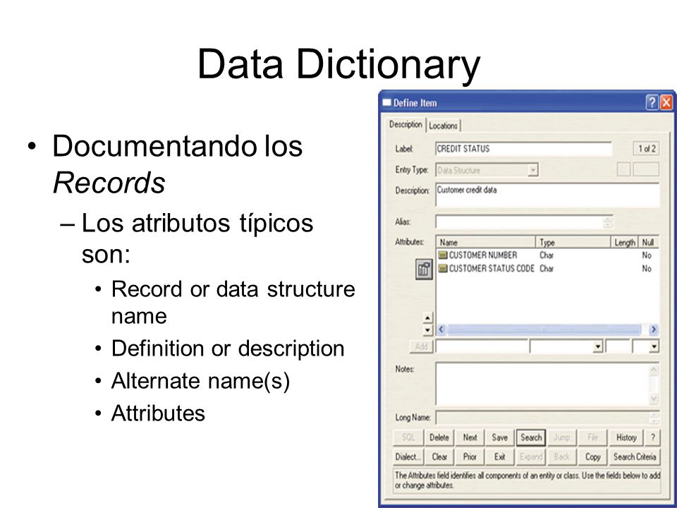 Data Dictionary Documentando los Records Los atributos típicos son: