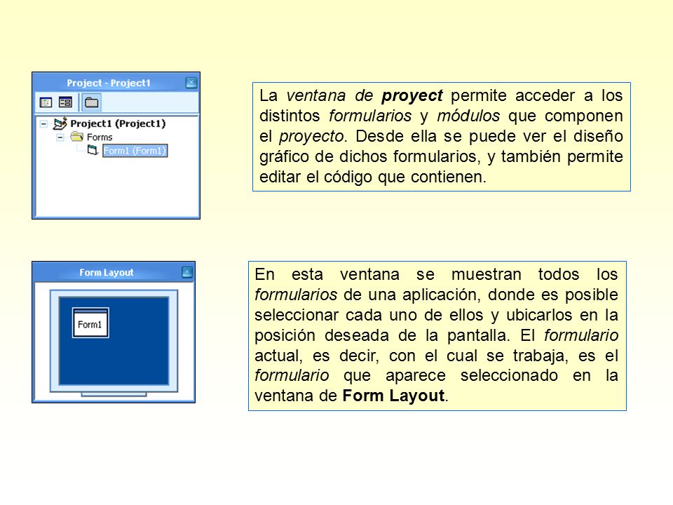 La ventana de proyect permite acceder a los distintos formularios y módulos que componen el proyecto. Desde ella se puede ver el diseño gráfico de dichos formularios, y también permite editar el código que contienen.