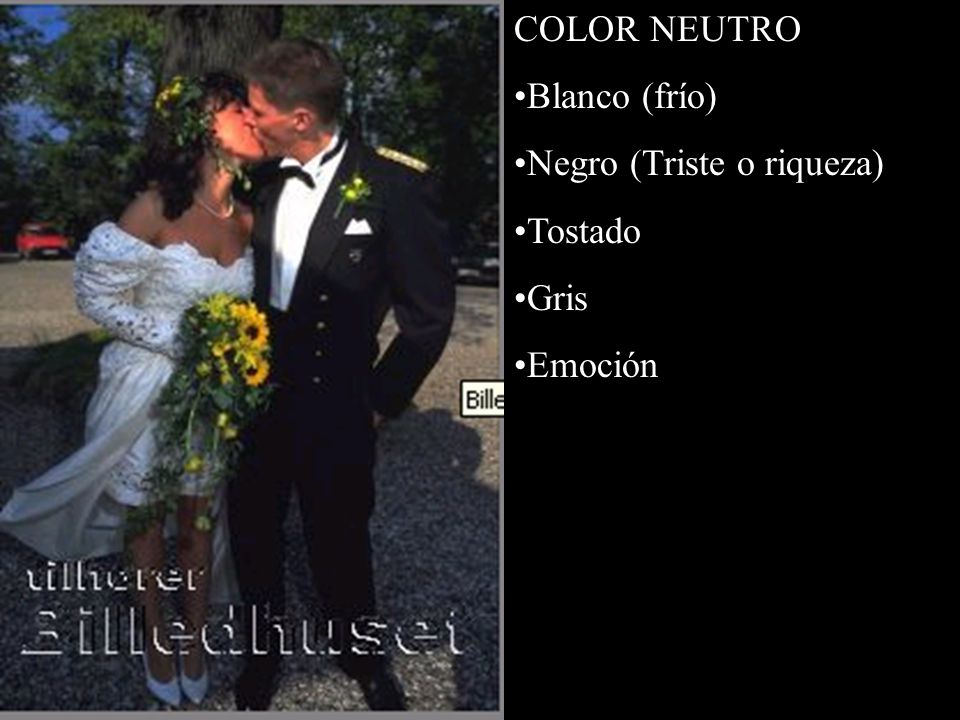 COLOR NEUTRO Blanco (frío) Negro (Triste o riqueza) Tostado Gris Emoción
