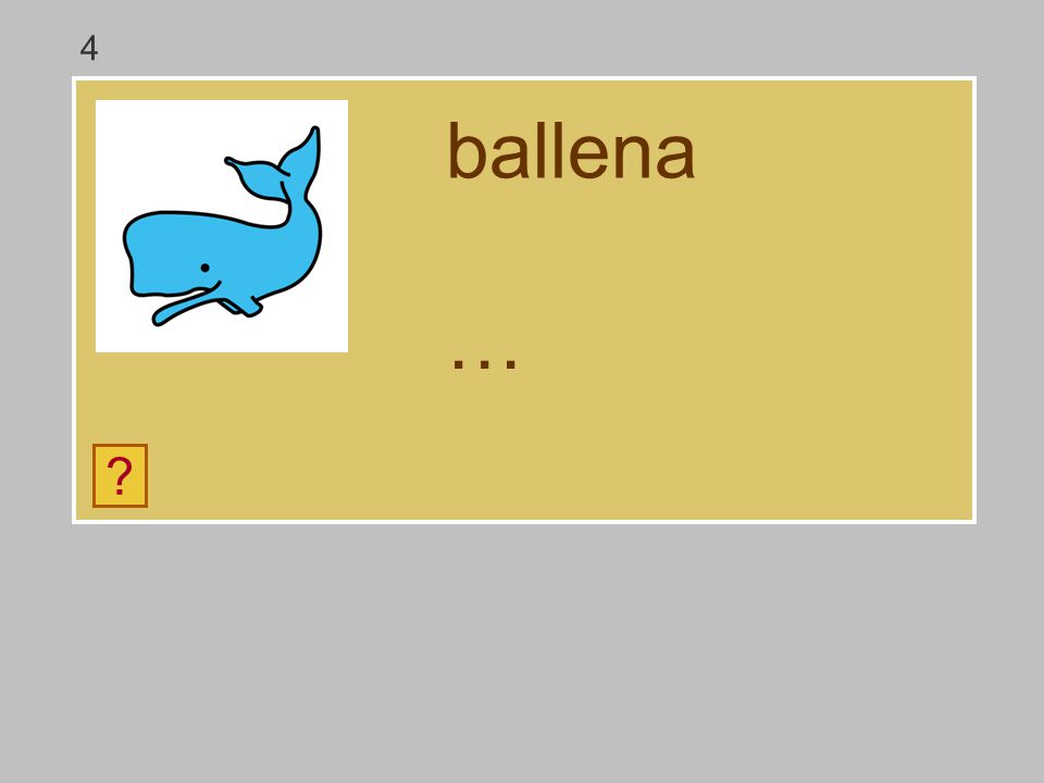 4 ballena … e ll m a d n b
