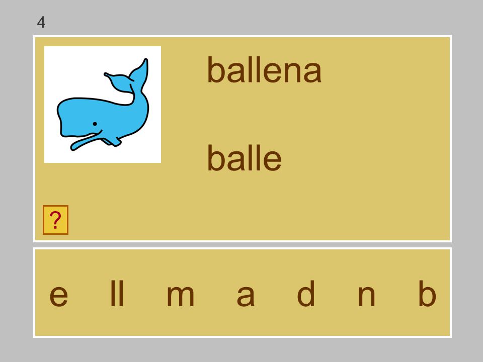 4 ballena balle e ll m a d n b