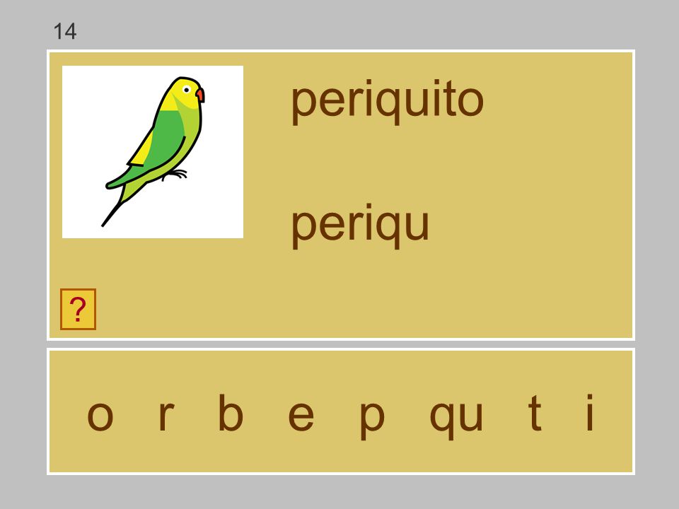 14 periquito periqu o r b e p qu t i