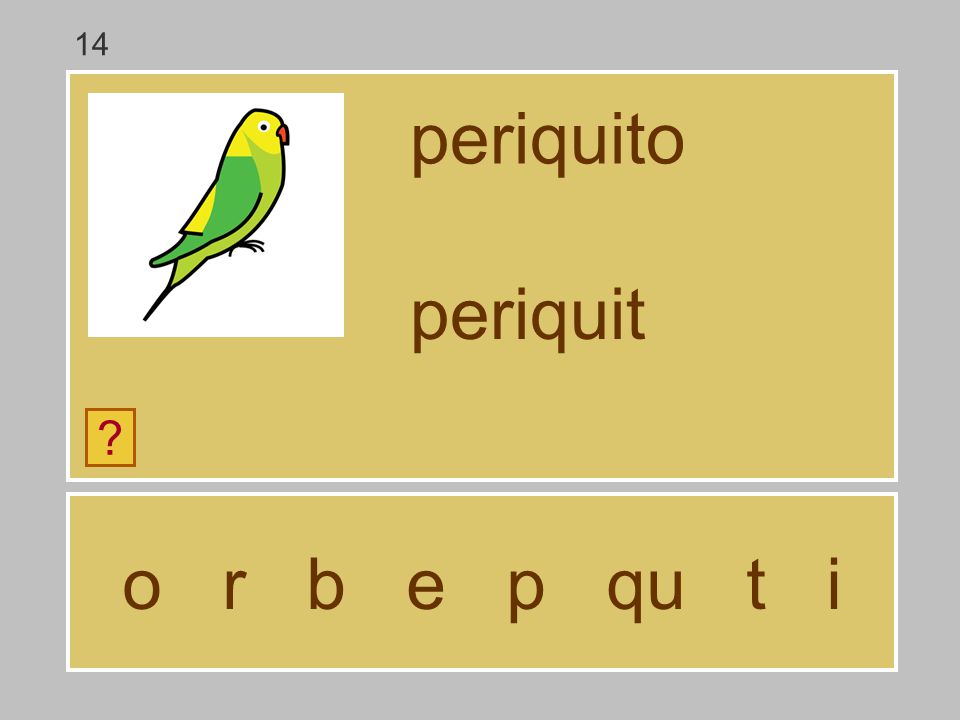 14 periquito periquit o r b e p qu t i