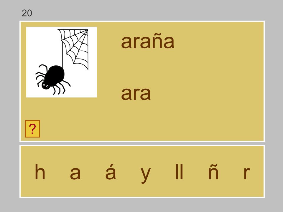 20 araña ara h a á y ll ñ r