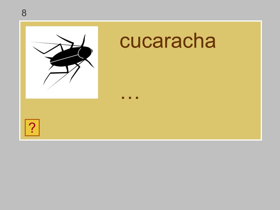 8 cucaracha … g a c r á u ch