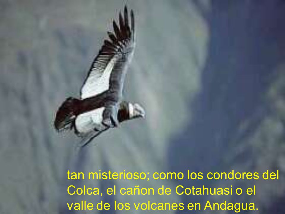 tan misterioso; como los condores del Colca, el cañon de Cotahuasi o el valle de los volcanes en Andagua.