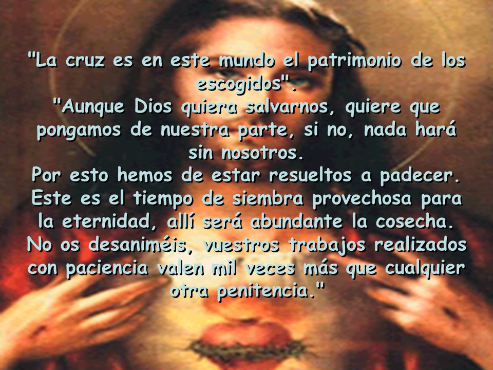 La cruz es en este mundo el patrimonio de los escogidos .