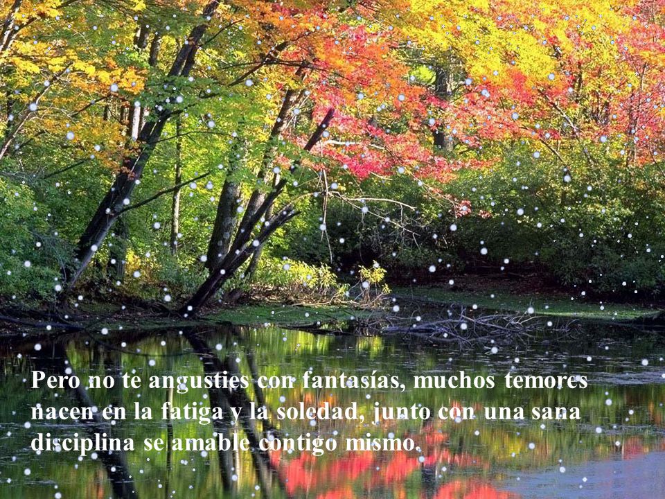 Pero no te angusties con fantasías, muchos temores nacen en la fatiga y la soledad, junto con una sana disciplina se amable contigo mismo.