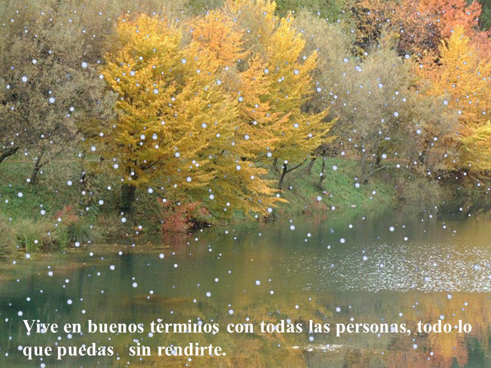 Vive en buenos términos con todas las personas, todo lo que puedas sin rendirte.