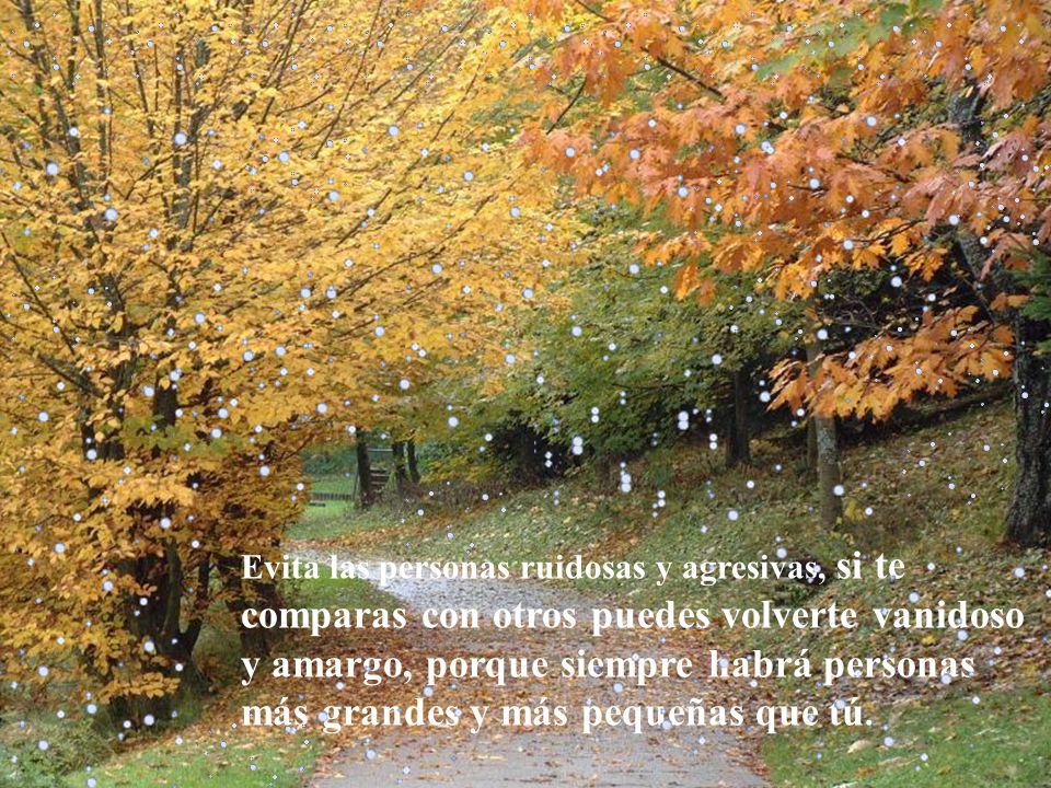 Evita las personas ruidosas y agresivas, si te comparas con otros puedes volverte vanidoso y amargo, porque siempre habrá personas más grandes y más pequeñas que tú.
