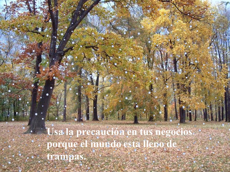 Usa la precaución en tus negocios porque el mundo esta lleno de trampas.