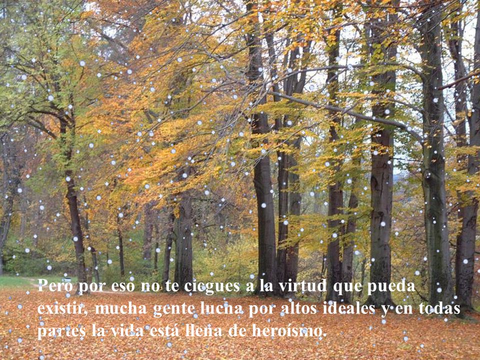 Pero por eso no te ciegues a la virtud que pueda existir, mucha gente lucha por altos ideales y en todas partes la vida está llena de heroísmo.