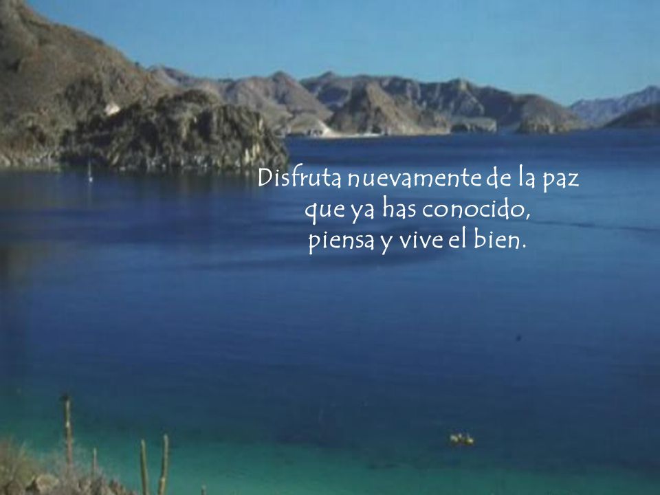 Disfruta nuevamente de la paz que ya has conocido, piensa y vive el bien.