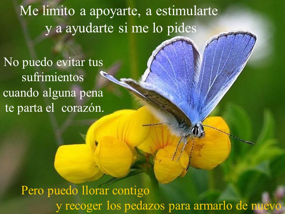 Me limito a apoyarte, a estimularte y a ayudarte si me lo pides
