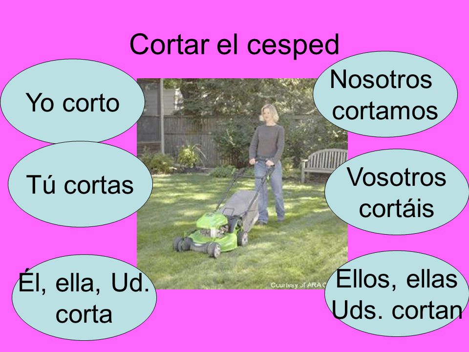 Cortar el cesped Nosotros cortamos Yo corto Tú cortas Vosotros cortáis