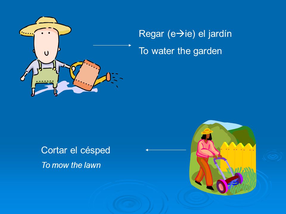 Regar (eie) el jardín To water the garden Cortar el césped