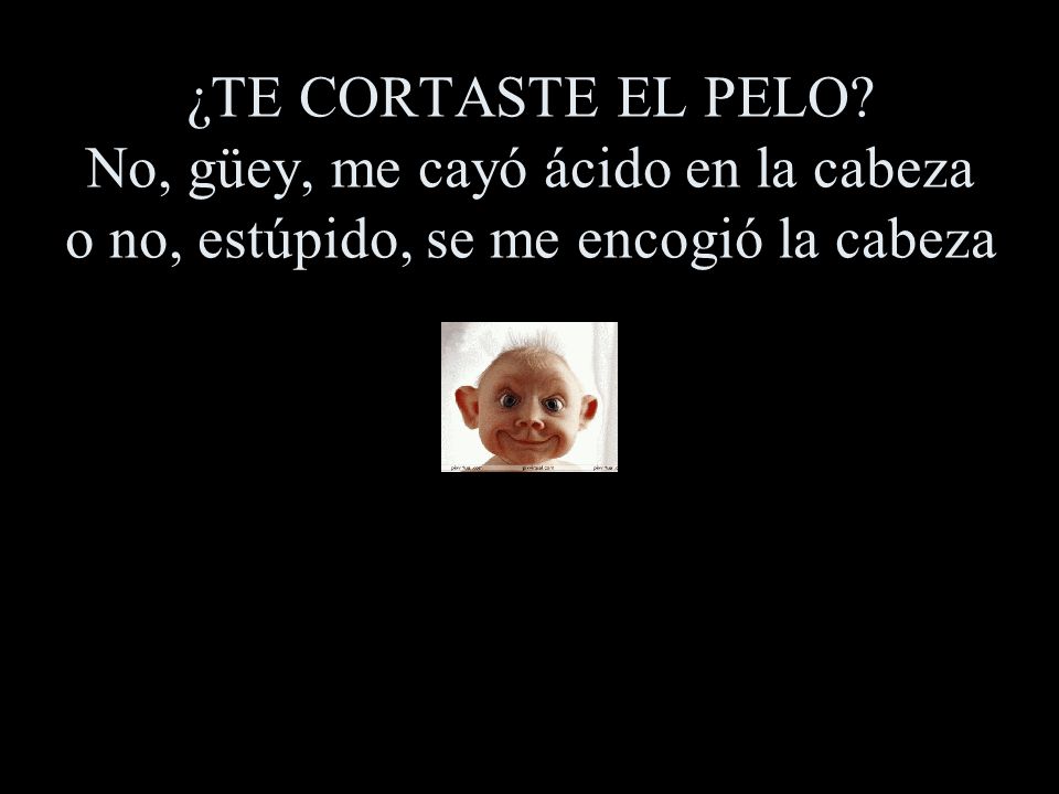 ¿TE CORTASTE EL PELO No, güey, me cayó ácido en la cabeza o no, estúpido, se me encogió la cabeza