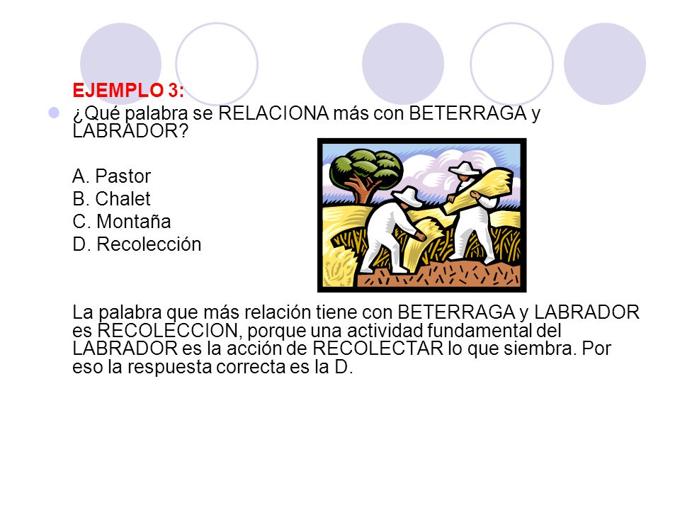 EJEMPLO 3: ¿Qué palabra se RELACIONA más con BETERRAGA y LABRADOR A. Pastor. B. Chalet. C. Montaña.