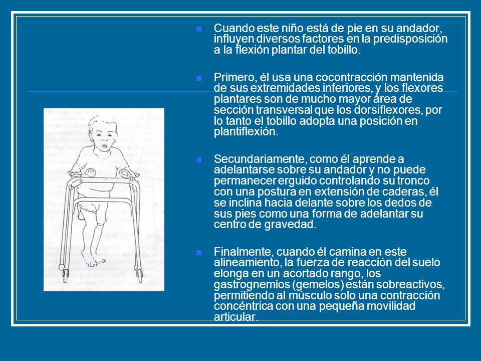 Cuando este niño está de pie en su andador, influyen diversos factores en la predisposición a la flexión plantar del tobillo.