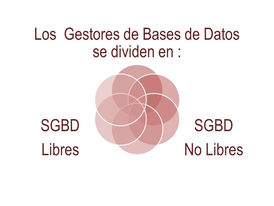 Los Gestores de Bases de Datos se dividen en :