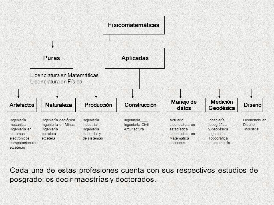 Fisicomatemáticas Puras. Aplicadas. Licenciatura en Matemáticas. Licenciatura en Física. Artefactos.