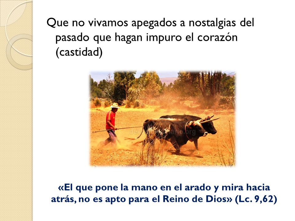 Que no vivamos apegados a nostalgias del pasado que hagan impuro el corazón (castidad)