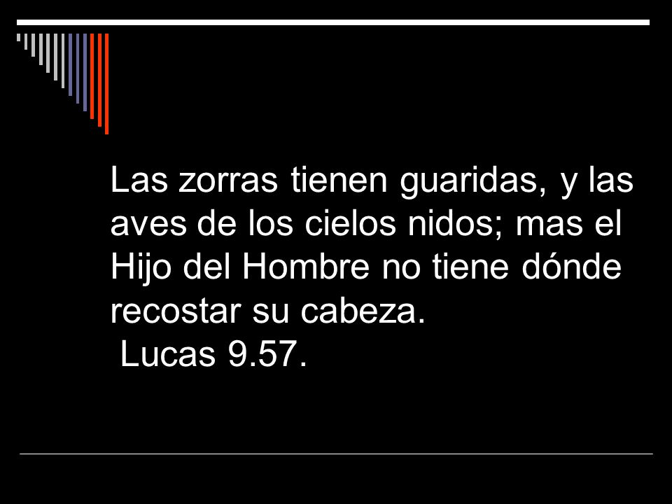 Las zorras tienen guaridas, y las aves de los cielos nidos; mas el Hijo del Hombre no tiene dónde recostar su cabeza.