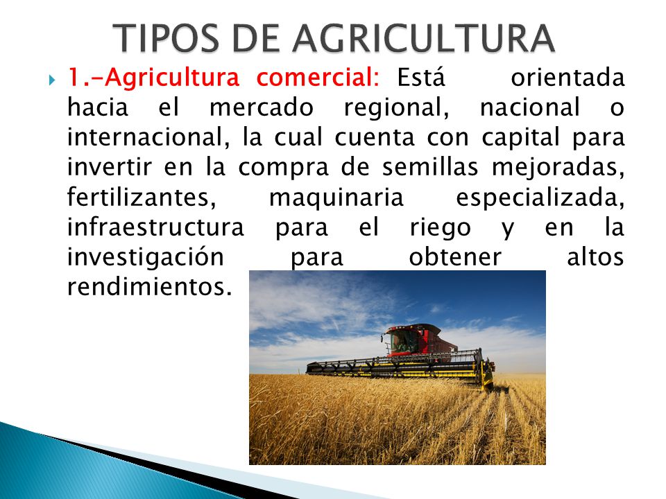 TIPOS DE AGRICULTURA