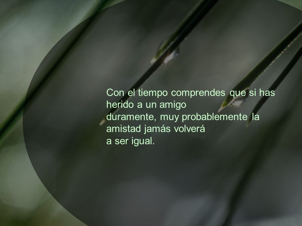 Con el tiempo comprendes que si has herido a un amigo duramente, muy probablemente la amistad jamás volverá a ser igual.