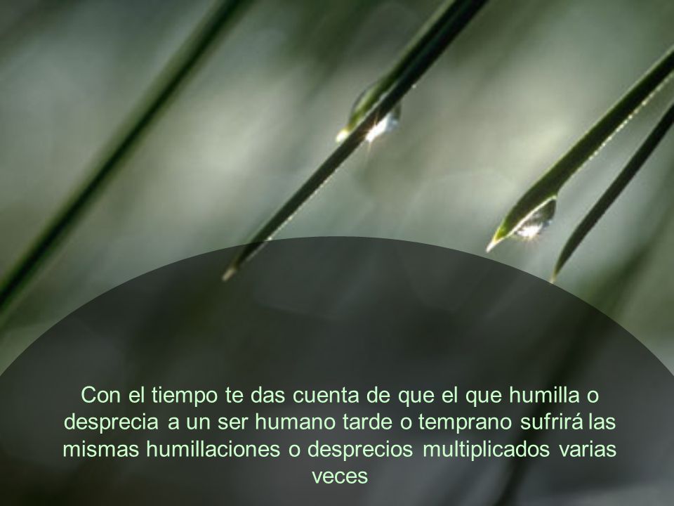 Con el tiempo te das cuenta de que el que humilla o desprecia a un ser humano tarde o temprano sufrirá las mismas humillaciones o desprecios multiplicados varias veces