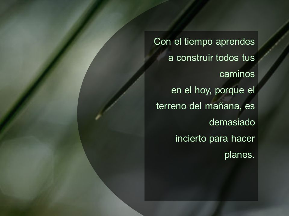Con el tiempo aprendes a construir todos tus caminos en el hoy, porque el terreno del mañana, es demasiado incierto para hacer planes.