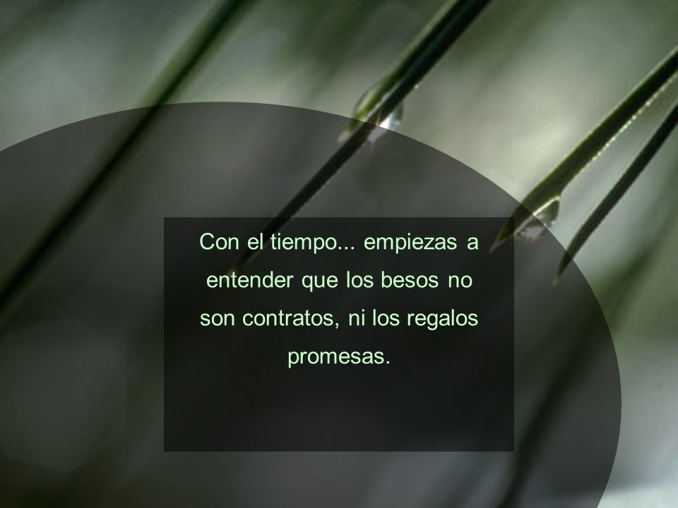 Con el tiempo... empiezas a entender que los besos no son contratos, ni los regalos promesas.
