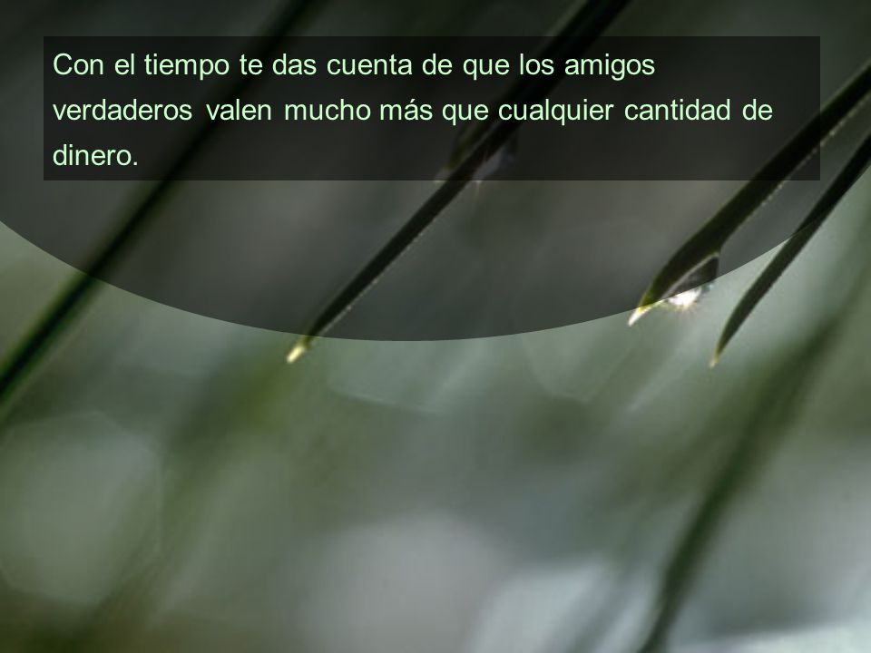 Con el tiempo te das cuenta de que los amigos verdaderos valen mucho más que cualquier cantidad de dinero.