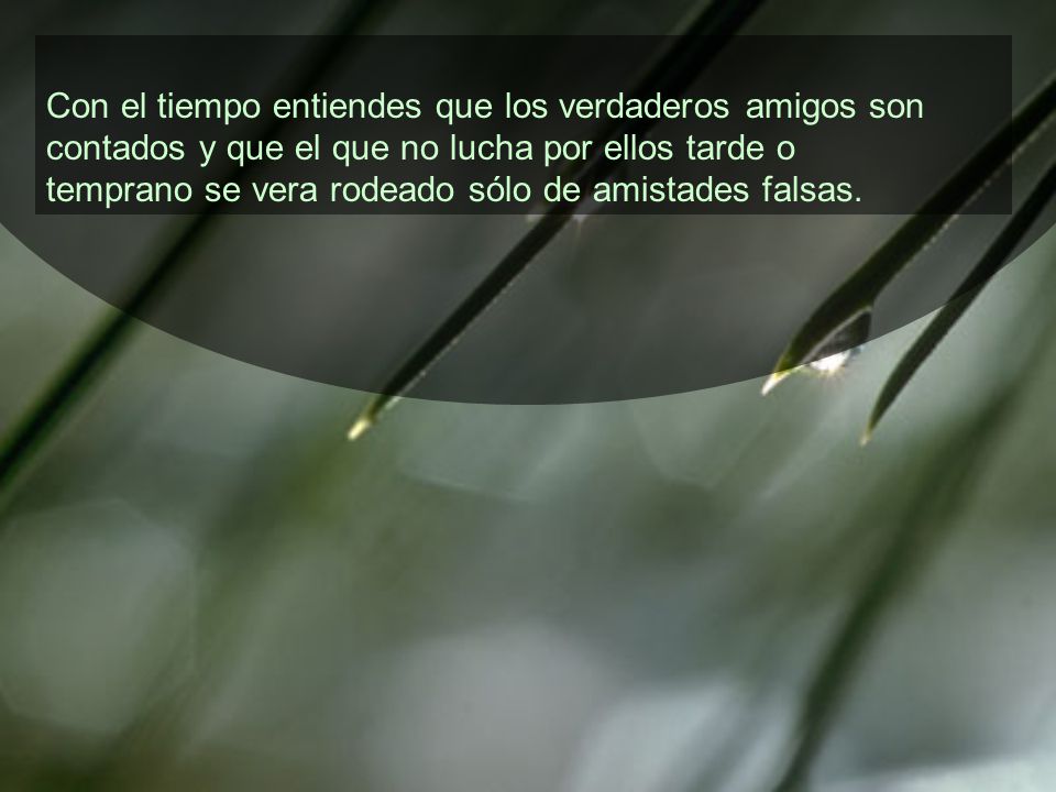 Con el tiempo entiendes que los verdaderos amigos son contados y que el que no lucha por ellos tarde o temprano se vera rodeado sólo de amistades falsas.