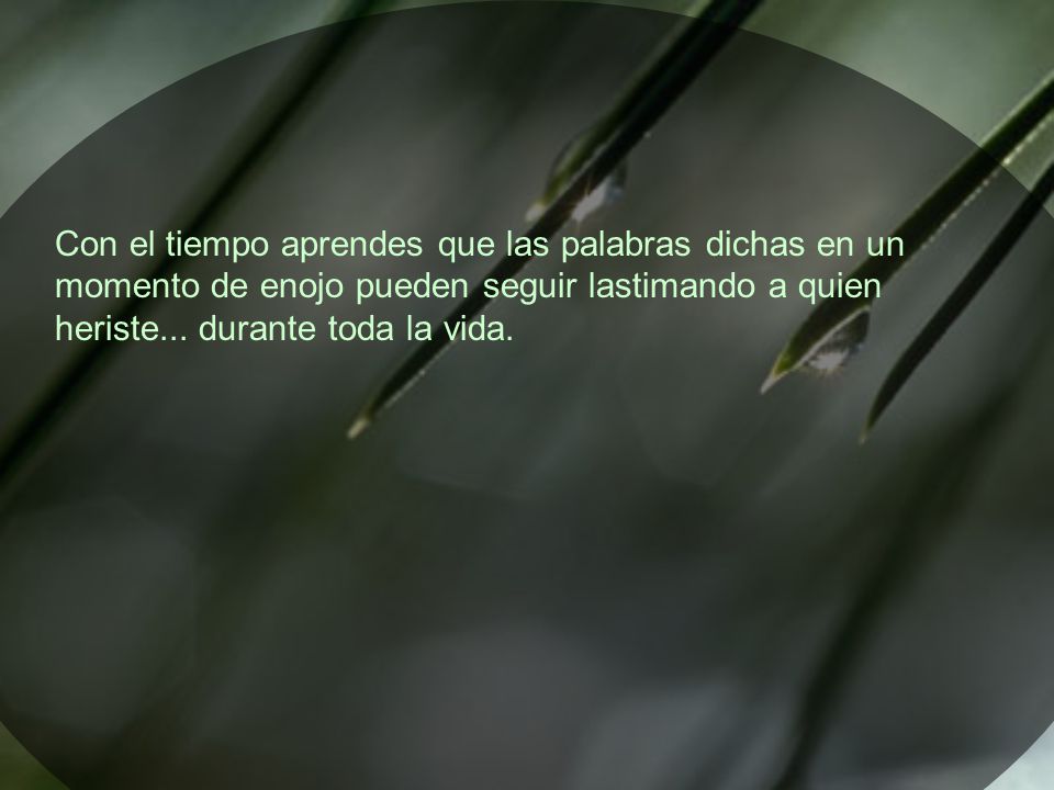 Con el tiempo aprendes que las palabras dichas en un momento de enojo pueden seguir lastimando a quien heriste...
